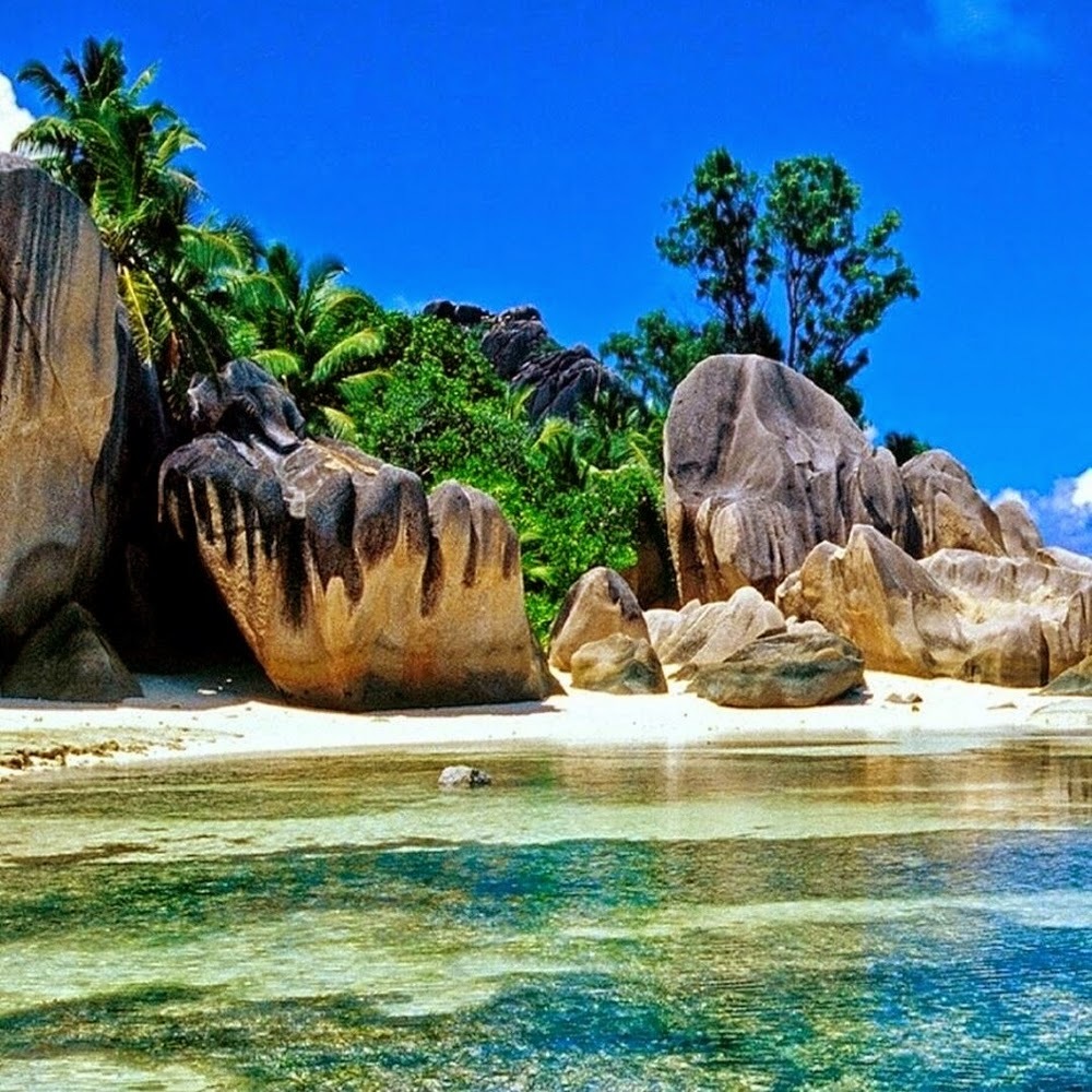 Meet your Posher, Nahomi2185